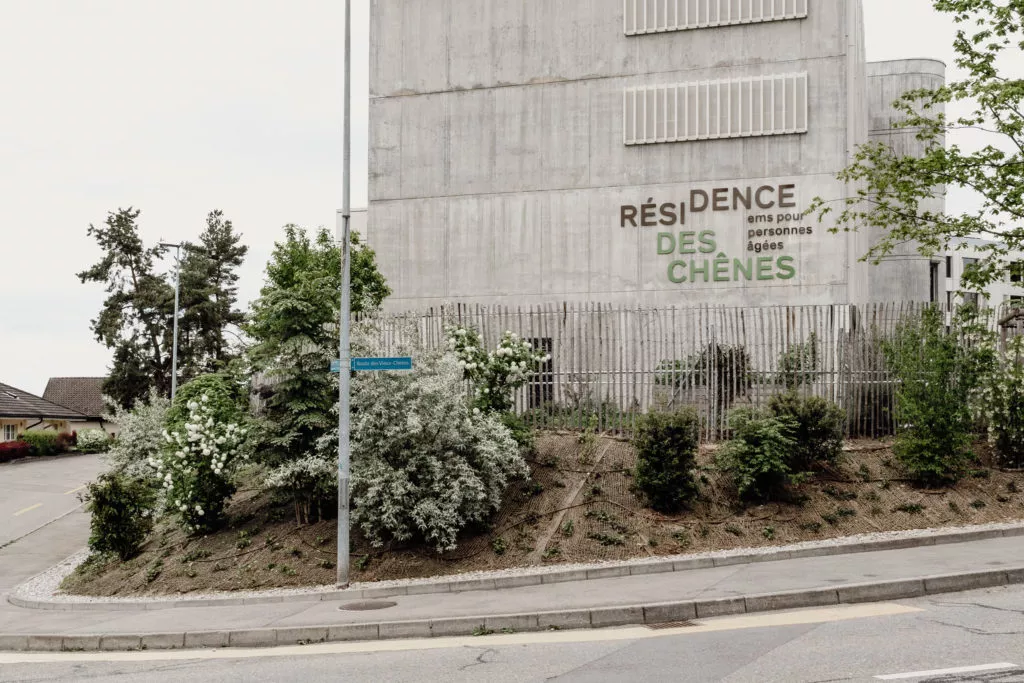 Rdc-@claystudio-33_site In Situ