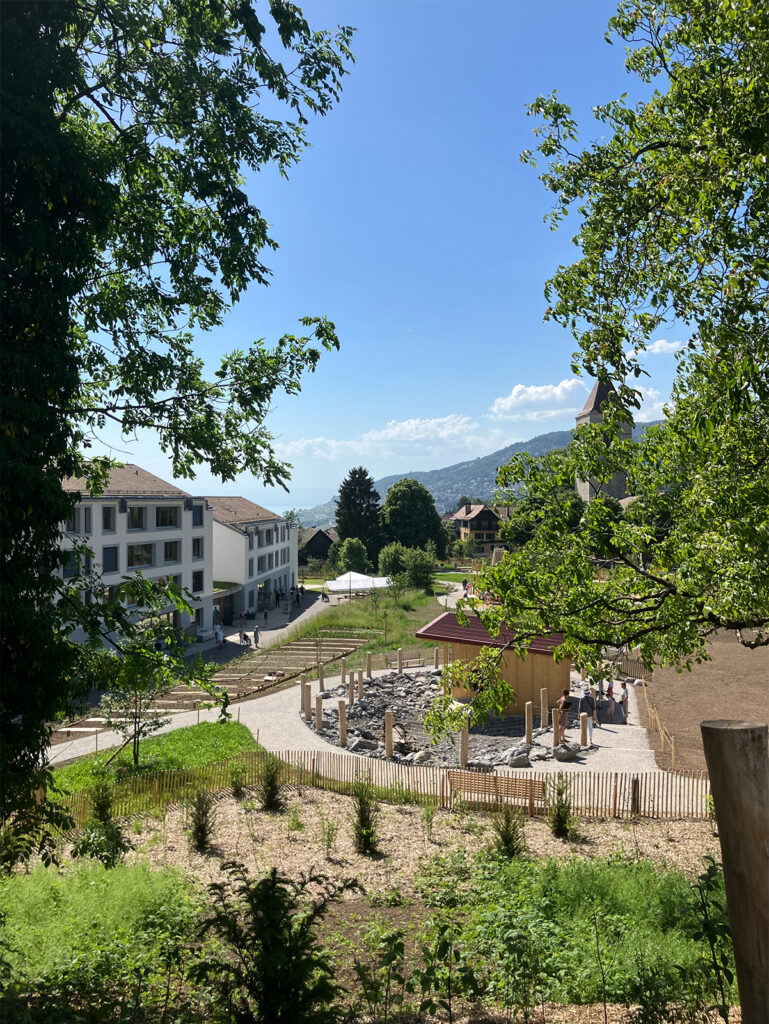 260703-vue-parc-chiesaz In Situ
